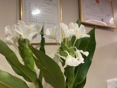 -素禅棋牌会所(海阳路店)