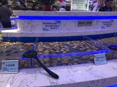 -澜悦港海鲜体验主题餐厅