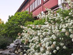 -祝家花園(伯渎港店)
