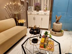 -三只熊皮肤管理中心