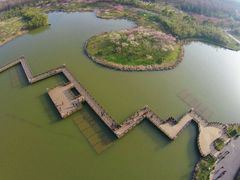android_upload_pic-上海海湾国家森林公园