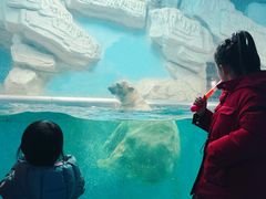 -泉城欧乐堡海洋极地世界