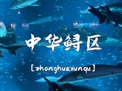 -北京海洋馆