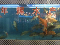 -年辉渔村