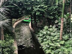 -南宫五洲植物乐园