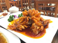 菊花鱼-白魁老号饭庄(交道口店)