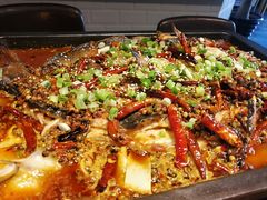 清江鱼-晓鲜熊猫烤鱼烤吧(西三旗百汇北门店)