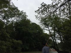 -九曲溪竹筏码头