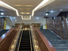 -乐天免税店(明洞店)