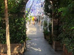 -The Grounds of Alexandria