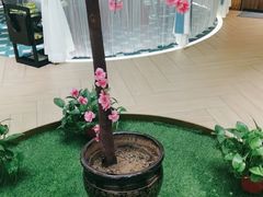 -小肥羊·牛羊肉火锅(万达广场店)