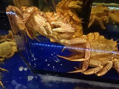 -蟹道乐(道顿堀本店)