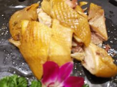 招牌土鸡-国人川菜(李家村建东街店)