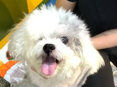 -严国平动物医院(德政总院)