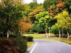 -牛首山文化旅游区