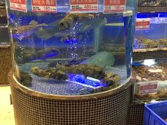 -欢乐海岸美食联盟