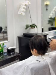 -时尚殿堂salon