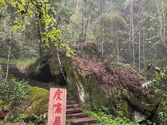 -武夷山风景名胜区-虎啸岩