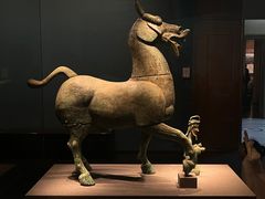 -广西壮族自治区博物馆