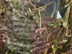 -上海昆虫博物馆