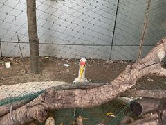 -正佳雨林生态植物园