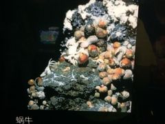 -同济大学四平路校区深海探索馆