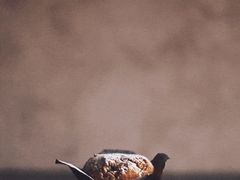 -La patisserie de Mona 茉娜的甜品(韩乐坊店)