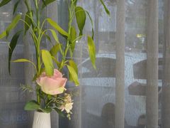 -楚鱼王·河鲜·湖北菜(华农店)