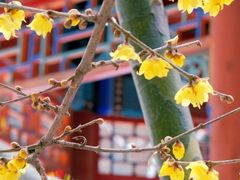 -月坛公园