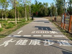 -东郊湿地公园