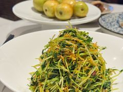 低卡巧手拌豆苗-四季民福烤鸭店(望京南湖东园店)