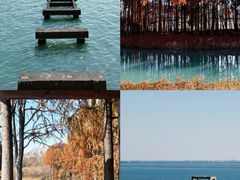 -贡湖湾湿地公园
