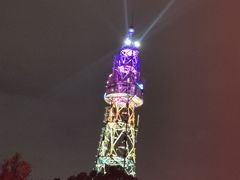 -金鸡山公园