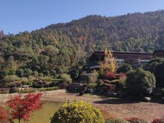 -桃花岭景区
