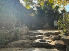 -白沙古井