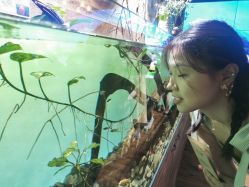 -Zoolung Zoolung动物主题公园(海信广场店)