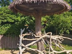 -上海野生动物园