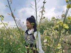 -三圣花乡旅游区