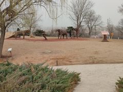 -北京西山国家森林公园