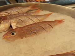 -牡丹国际大酒店-港式茶餐厅