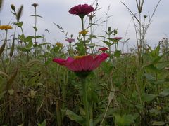 -精典一号民间菜