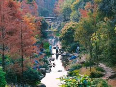 -云溪植物园