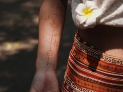 -中国科学院西双版纳热带植物园