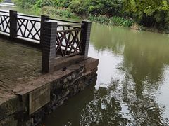 -小洲村