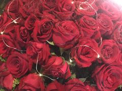 -天津水游城丽筠酒店