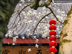 -杭州上天竺法喜讲寺