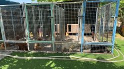 -萌宠亲子动物乐园(槐房万达店)