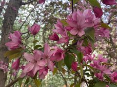 -元大都城垣遗址公园