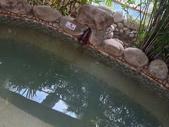 -三江森林温泉度假区