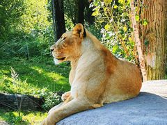 -北京野生动物园